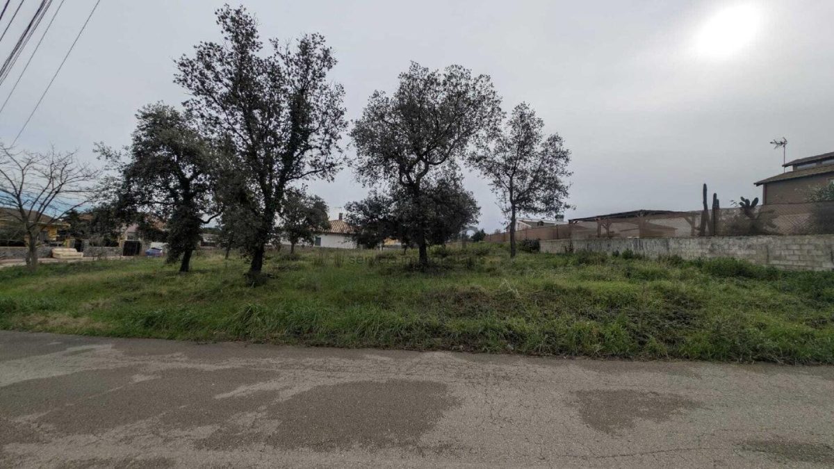 Parcela Cantonera y Plana — Foto 6