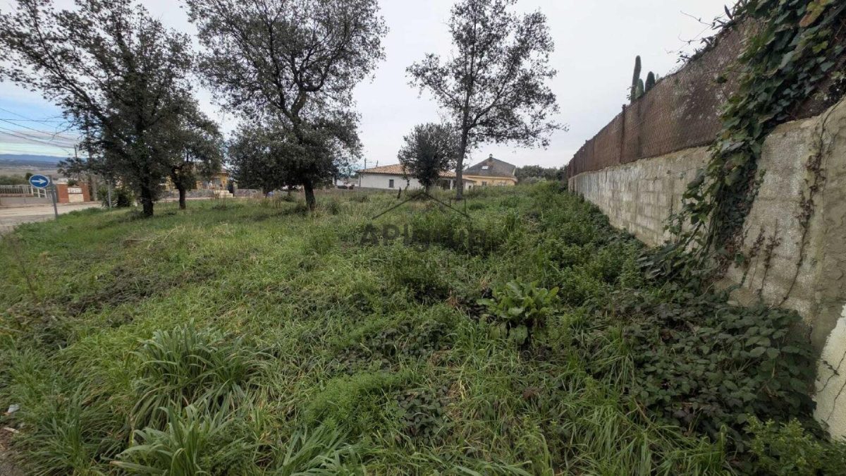 Parcela Cantonera y Plana — Foto 3