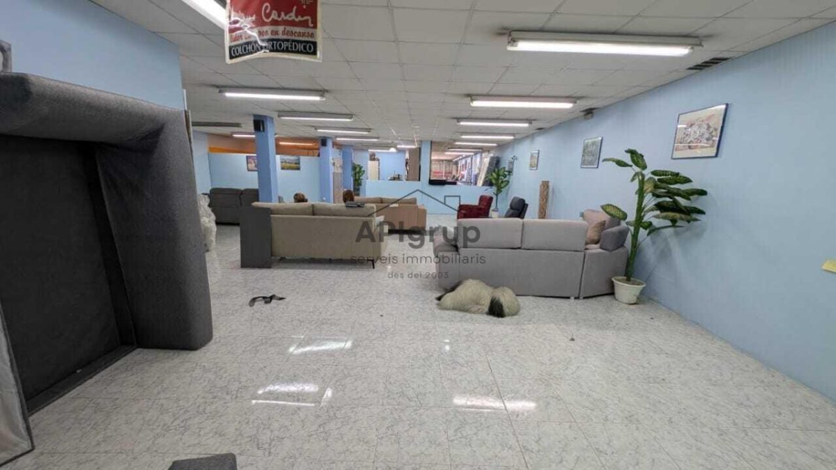 Gran Local — Foto 6