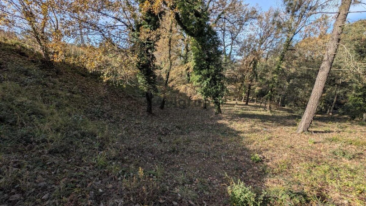 Terreno en venta en bescanó — Foto 4