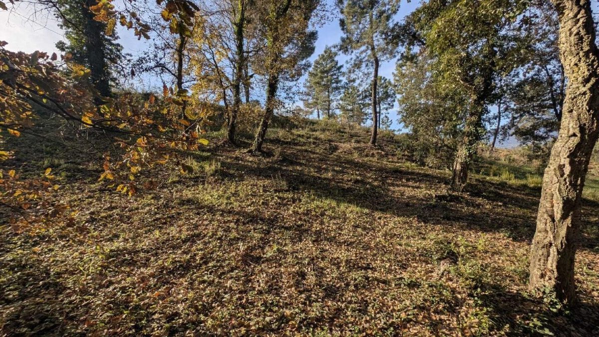 Terreno en venta en bescanó — Foto 22