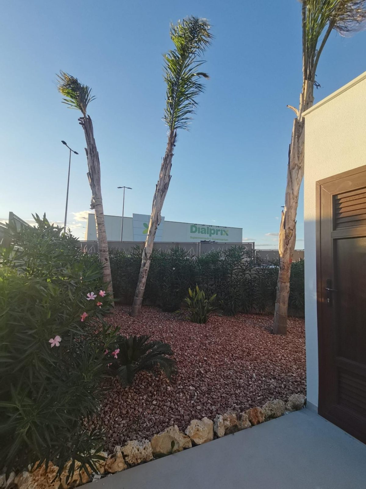 Villa en los Montesinos — Foto 27