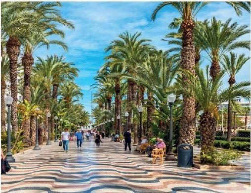 Moderno Piso en Mutxamel, Ideal para Disfrutar de la Costa — Foto 11