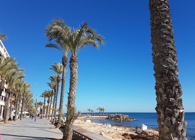 Impresionante local en la mejor zona de Torrevieja — Foto 9