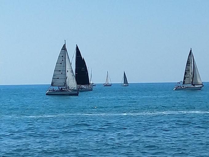 Impresionante local en la mejor zona de Torrevieja — Foto 10