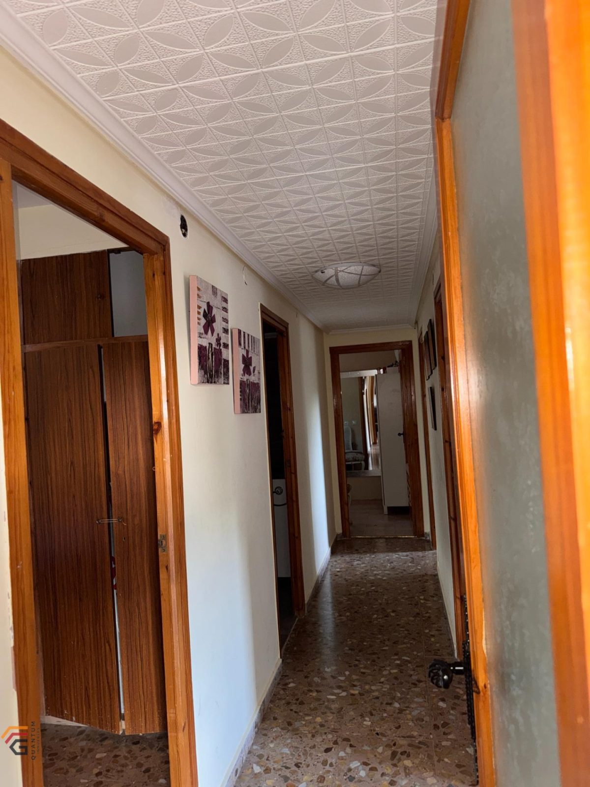 FINCA RÚSTICA EN LA MUELA — Foto 17