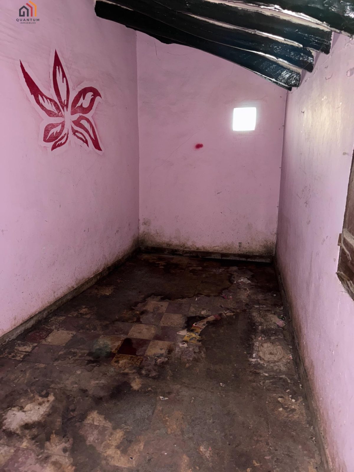 CASA EN BORJA — Foto 17