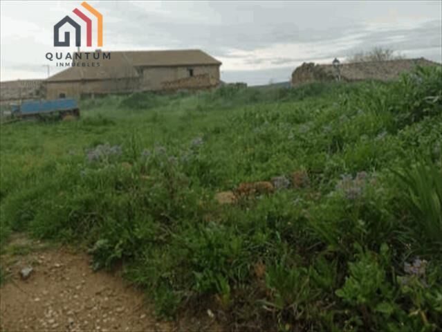 Suelo urbano en Velillas - Angüés (Huesca) — Foto 6